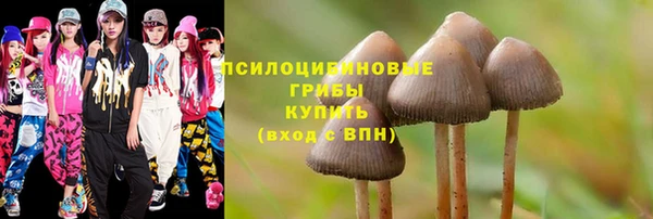 а пвп мука Алексин