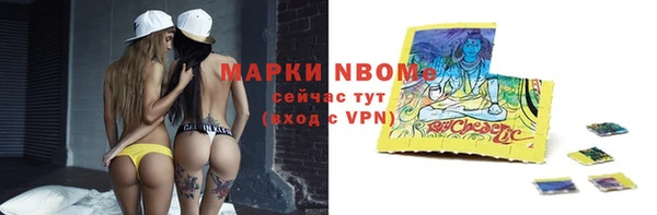 индика Алзамай