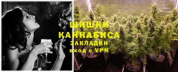 индика Алзамай