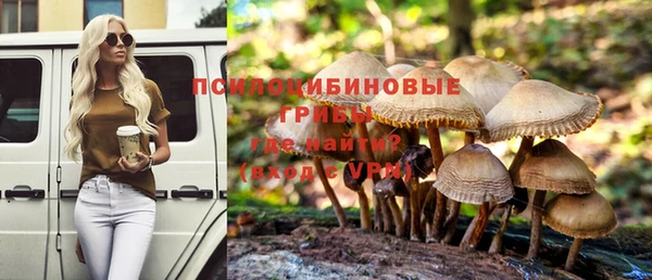 винт Алексеевка