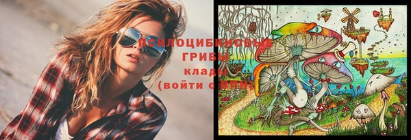 индика Алзамай