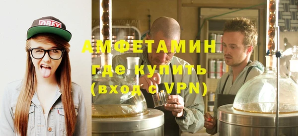 индика Алзамай