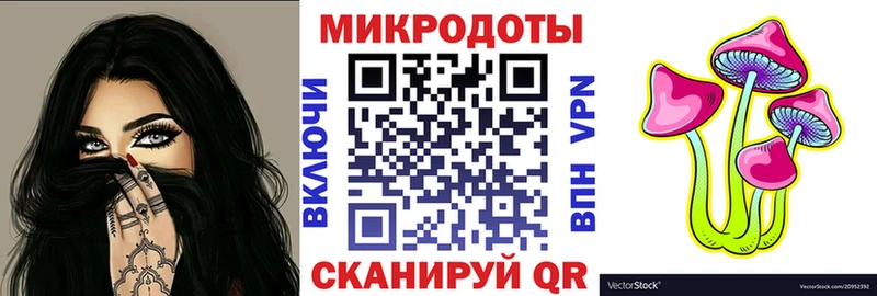 Галлюциногенные грибы Psilocybine cubensis  Белоозёрский 
